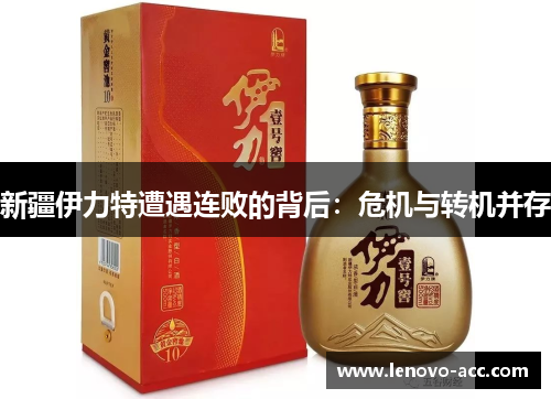 新疆伊力特遭遇连败的背后：危机与转机并存